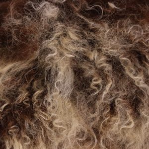 Gobi Brazin Ombre