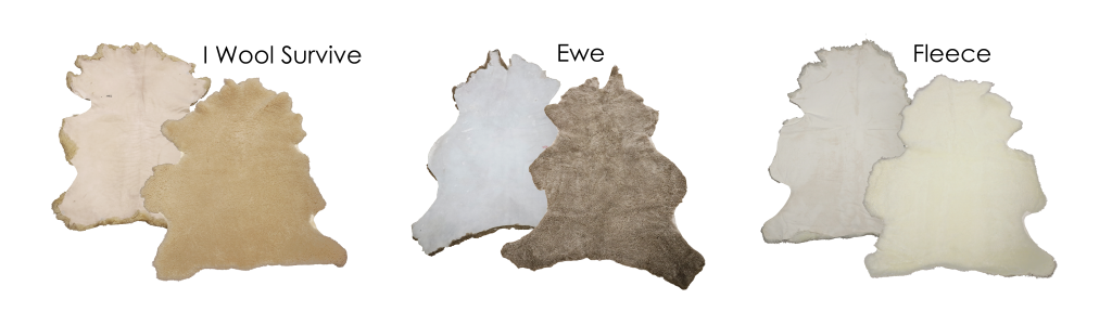 Premium shearling sheepskin hides displaying soft wool face and leather backing.